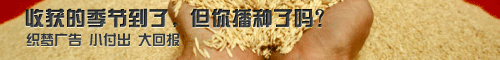 ֣ݴӡ޷񣡣