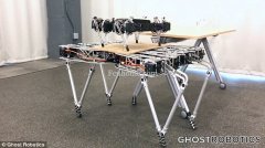 ϦǴѧзGhost Minitaur Ӧ-